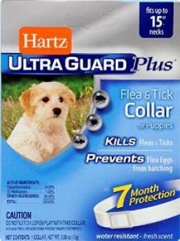 Hartz (Хартс) нашийник для дрібних собак та цуценят від бліх, блошиних яєць і кліщів, білий, 38 см