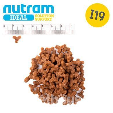 NUTRAM Ideal Solution Support Skin Coat Stomach холістик корм для котiв чутливе травлення 1,13 кг