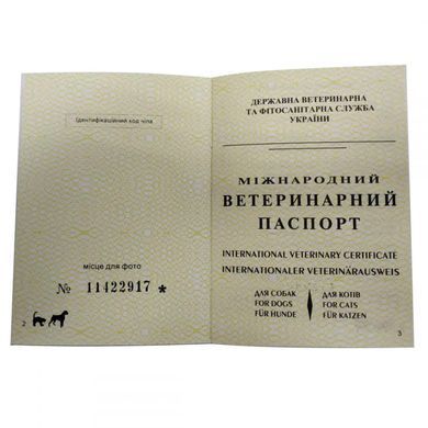 Паспорт ветеринарный международный, бирюзовый золото для собак и кошек - Invet