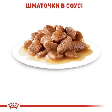 Royal Canin (Роял Канин) HAIRBALL CARE Влажный корм для кошек для выведения комочков шерсти