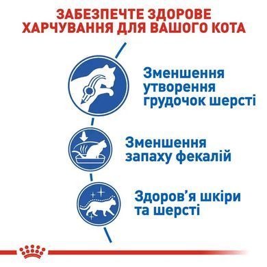 Royal Canin (Роял Канін) INDOOR LONG HAIR Сухий корм для довгошерстих котів, які мешкають в приміщенні 2 кг