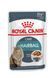 Royal Canin (Роял Канин) HAIRBALL CARE Влажный корм для кошек для выведения комочков шерсти
