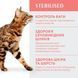 Optimeal Sterilised - Сухий корм для котів 700 г (яловичина та сорго)