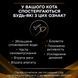 Purina Pro Plan Veterinary Diets NF EarCare - Влажный корм пауч для кошек для поддержания функции почек при хронической болезни почек на ранних стадиях 85 г, упаковка