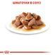 Royal Canin (Роял Канин) HAIRBALL CARE Влажный корм для кошек для выведения комочков шерсти