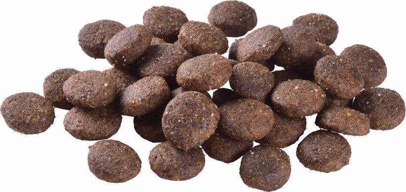 Brit Care Dog Grain-free Junior Large Breed - Сухий корм для молодих собак великих порід беззерновий 1 кг (лосось)