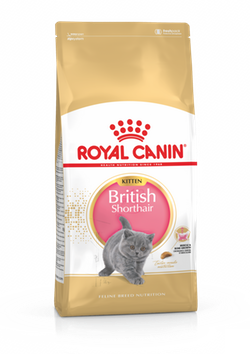Royal Canin (Роял Канин) KITTEN BRITISH SHORTHAIR Cухой корм для котят породы британская короткошерстная 0,4 кг