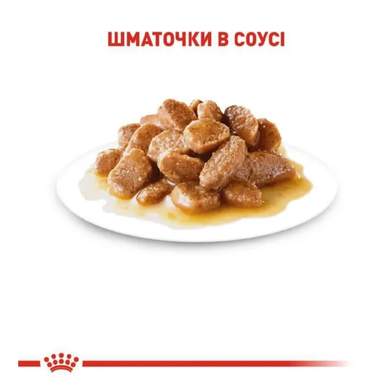 Влажный корм Royal Canin X-small для щенков мелких пород, соус, 85 г