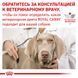 Сухой корм Royal Canin Skin Care Adult Small Dog при заболевании кожи у собак мелких пород, 2 кг