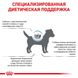 Сухий корм Royal Canin Skin Care Adult Small Dog при захворюванні шкіри у собак дрібних порід, 2 кг