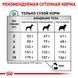 Сухой корм Royal Canin Skin Care Adult Small Dog при заболевании кожи у собак мелких пород, 2 кг