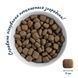 Home Food Active Balanced Formula Говядина - корм для активных взрослых собак крупных пород, 10 кг