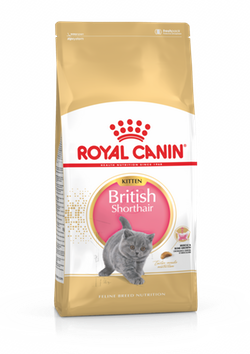 Royal Canin (Роял Канин) KITTEN BRITISH SHORTHAIR Cухой корм для котят породы британская короткошерстная 2 кг
