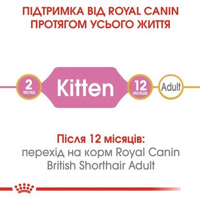Royal Canin (Роял Канін) KITTEN BRITISH SHORTHAIR Cухий корм для кошенят породи британська короткошерста 2 кг