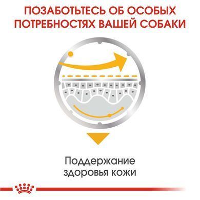 Вологий корм Royal Canin Dermacomfort для собак з чутливою шкірою, паштет, 85 г