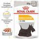 Вологий корм Royal Canin Dermacomfort для собак з чутливою шкірою, паштет, 85 г