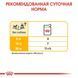 Вологий корм Royal Canin Dermacomfort для собак з чутливою шкірою, паштет, 85 г