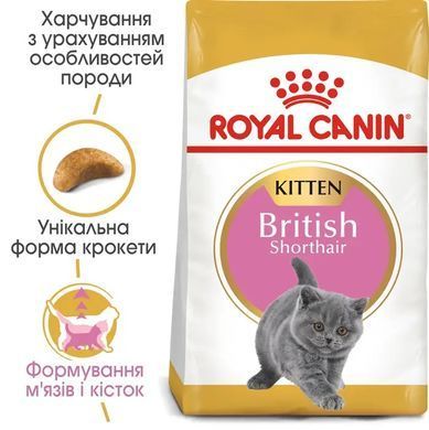 Royal Canin (Роял Канін) KITTEN BRITISH SHORTHAIR Cухий корм для кошенят породи британська короткошерста 10 кг
