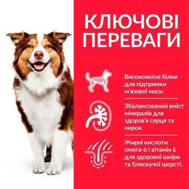 HILL'S SP Mature Adult Medium Хіллс Сухий Корм для Літніх Собак 7+ з Куркою - 14 кг