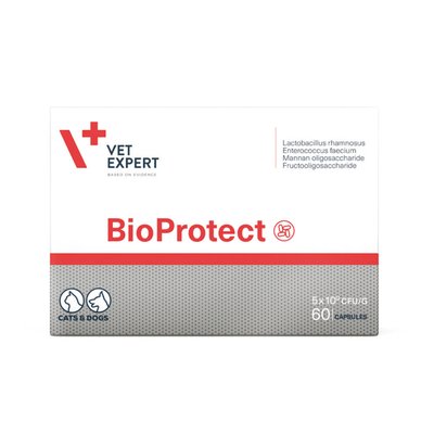 BioProtect Пищевая добавка для кошек и собак с нарушенной желудочно-кишечной микрофлорой 60 таблеток - VetExpert