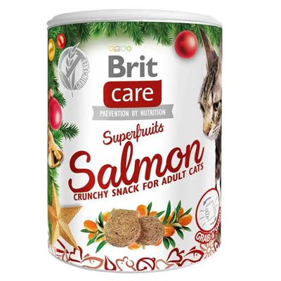 Brit Care Cat Superfruits - Різдвяні ласощі для котів 100 г (лосось та обліпиха)