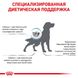 Сухий корм Royal Canin Skin Care Adult при захворюванні шкіри у собак, 2 кг