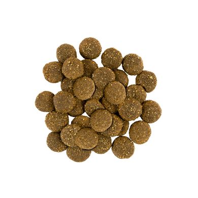 Savory корм для собак великих порід 3кг (індичка та ягня)