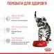 Royal Canin (Роял Канін) KITTEN STERILISED Cухий корм для стерилізованих кошенят 0,4 кг
