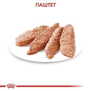 Влажный корм Royal Canin Digestive Care при чувствительном пищеварении у собак, паштет, 85 г