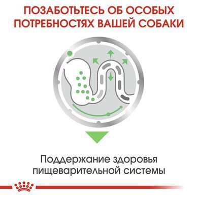 Влажный корм Royal Canin Digestive Care при чувствительном пищеварении у собак, паштет, 85 г