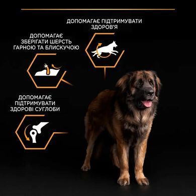 ProPlan Large Robust Adult - Сухий корм для дорослих собак великих порід з куркою 14 кг
