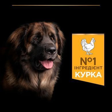 ProPlan Large Robust Adult - Сухий корм для дорослих собак великих порід з куркою 14 кг