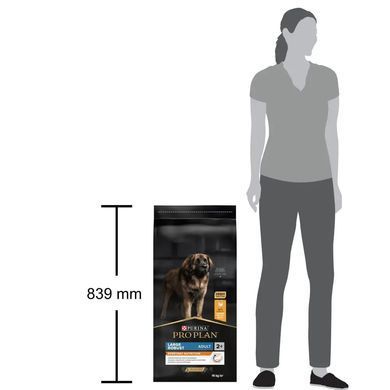 ProPlan Large Robust Adult - Сухий корм для дорослих собак великих порід з куркою 14 кг