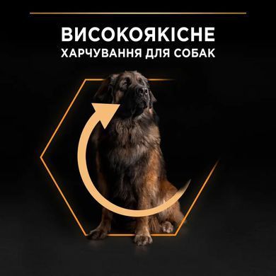 ProPlan Large Robust Adult - Сухий корм для дорослих собак великих порід з куркою 14 кг