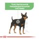 Вологий корм Royal Canin Digestive Care при чутливому травленні у собак, паштет, 85 г