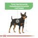 Влажный корм Royal Canin Digestive Care при чувствительном пищеварении у собак, паштет, 85 г