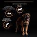 ProPlan Large Robust Adult - Сухий корм для дорослих собак великих порід з куркою 14 кг