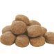 ProPlan Large Robust Adult - Сухий корм для дорослих собак великих порід з куркою 14 кг