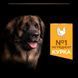 ProPlan Large Robust Adult - Сухий корм для дорослих собак великих порід з куркою 14 кг