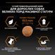 ProPlan Large Robust Adult - Сухий корм для дорослих собак великих порід з куркою 14 кг
