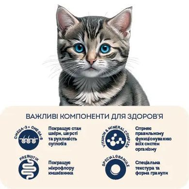 Home Food Полнорационный сухой корм для котят с ягненок и рисом 10 кг