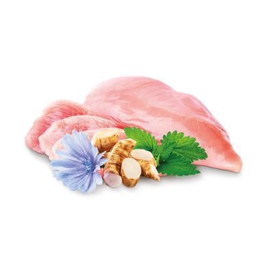 Home Food Полнорационный сухой корм для котят с ягненок и рисом 10 кг
