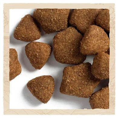 Dog Chow Adult - Сухий корм для дорослих собак з ягням 2,5 кг