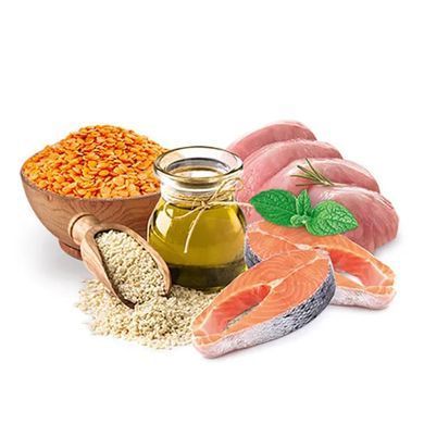Home Food Повнораціонний сухий корм для дорослих котів Здорова шкіра та блиск шерсті з індичкою та лососем 400 г