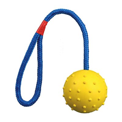 Іграшка для собак Trixie М'яч на мотузці з ручкою 30 см, d=7 см (гума, кольори в асортименті)