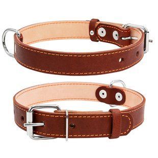 Collar Нашийник подвійний CoLLaR