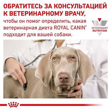 Сухий корм Royal Canin Urinary S / O Moderate Calorie при сечокам'яній хворобі у собак, 1.5 кг