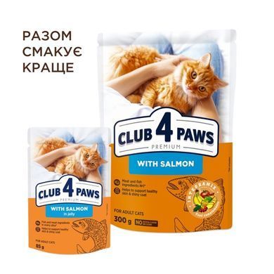 Влажный корм Клуб 4 Лапы Adult Cat Premium для взрослых кошек, с лососем в желе, 100 г