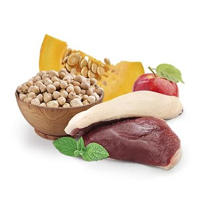 Home Food Гіпоалергенний, беззерновий сухий корм для дорослих собак маленьких порід «М'ясо Качки з Нутом» 700 г