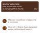 Влажный корм Клуб 4 Лапы Adult Cat Premium для взрослых кошек, с лососем в желе, 100 г